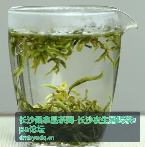长沙夜生活SPA养生直播分享